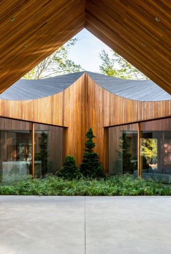 Interiores biofílicos: 21 proyectos que fusionan la arquitectura con la naturaleza
